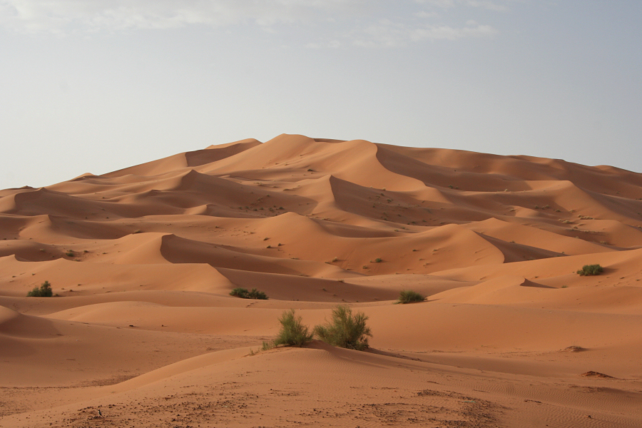 5313_Erg Chebbi - Landschap.jpg